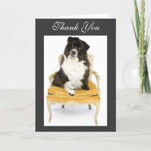 Tarjeta De Agradecimiento Gracias border collie