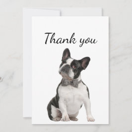Tarjeta De Agradecimiento Gracias Boston Terrier Dog Mascota Animal
