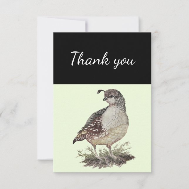 Tarjeta De Agradecimiento Gracias California Quail Bird Nature Art (Anverso)