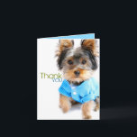 Tarjeta De Agradecimiento Gracias Card_Yorkie<br><div class="desc">¡Diga le agradecen con este Yorkie adorable!  Es interior en blanco para su saludo personalizado.</div>