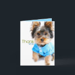 Tarjeta De Agradecimiento Gracias Card_Yorkie<br><div class="desc">¡Diga le agradecen con este Yorkie adorable!  Es interior en blanco para su saludo personalizado.</div>