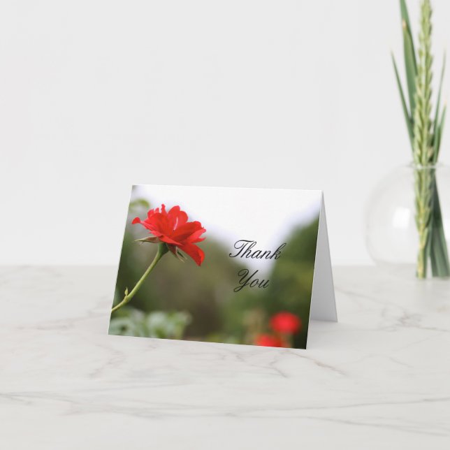 Tarjeta De Agradecimiento Gracias cardar (Anverso)