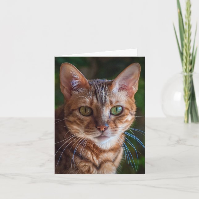 Tarjeta De Agradecimiento Gracias cardar (Anverso)