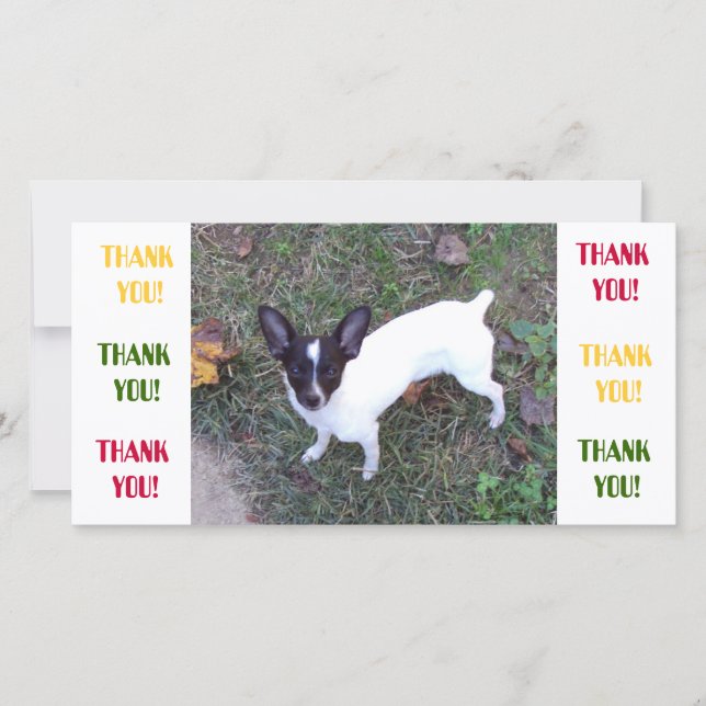 Tarjeta De Agradecimiento Gracias cardar (Anverso)