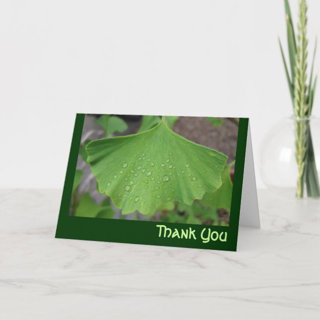 Tarjeta De Agradecimiento Gracias cardar - biloba del ginko (Anverso)