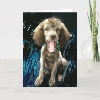 TARJETA DE AGRADECIMIENTO GRACIAS CARDAR, DIVERTIDO