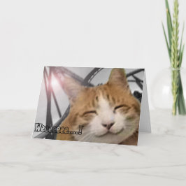 Tarjeta De Agradecimiento Gracias cardar - el gato feliz