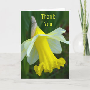 Tarjeta De Agradecimiento Gracias cardar - el narciso amarillo