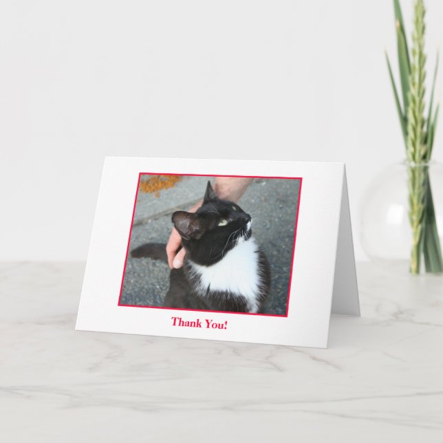 Tarjeta De Agradecimiento Gracias cardar, esconder dentro (Anverso)