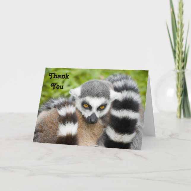 Tarjeta De Agradecimiento Gracias cardar - la cola linda de Stripey del (Anverso)