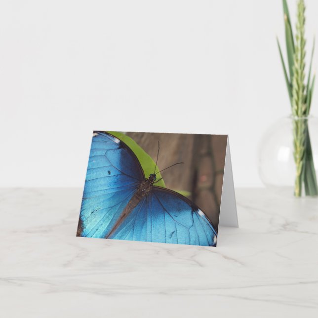 Tarjeta De Agradecimiento Gracias cardar, Morpho azul (Anverso)