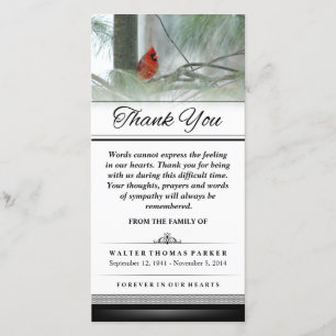 Tarjeta De Agradecimiento Gracias Cardinal Bird Words Not Express