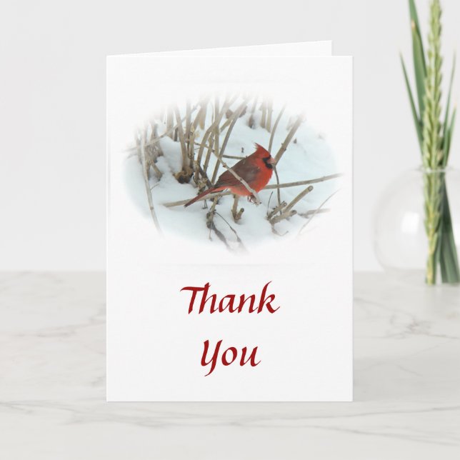 Tarjeta De Agradecimiento Gracias Cardinal Songbird (Anverso)