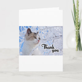 Tarjeta De Agradecimiento Gracias Cat