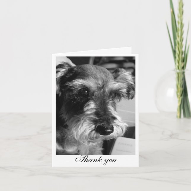 Tarjeta De Agradecimiento Gracias (Charmin) (Anverso)