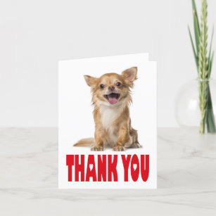 Tarjeta De Agradecimiento Gracias Chihuahua Perro Cachorro Blank Notecard