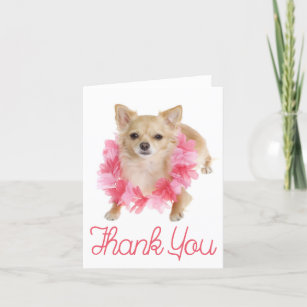 Tarjeta De Agradecimiento Gracias Chihuahua Perro Cachorro Blank Notecard