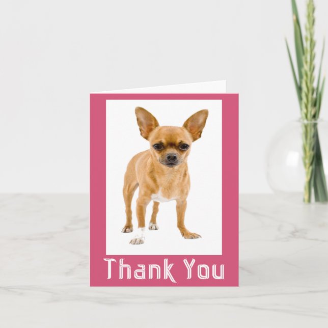 Tarjeta De Agradecimiento Gracias Chihuahua Perro Cachorro Blank Notecard (Anverso)
