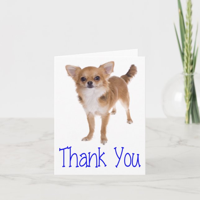 Tarjeta De Agradecimiento Gracias Chihuahua Perro Cachorro Blank Notecard (Anverso)
