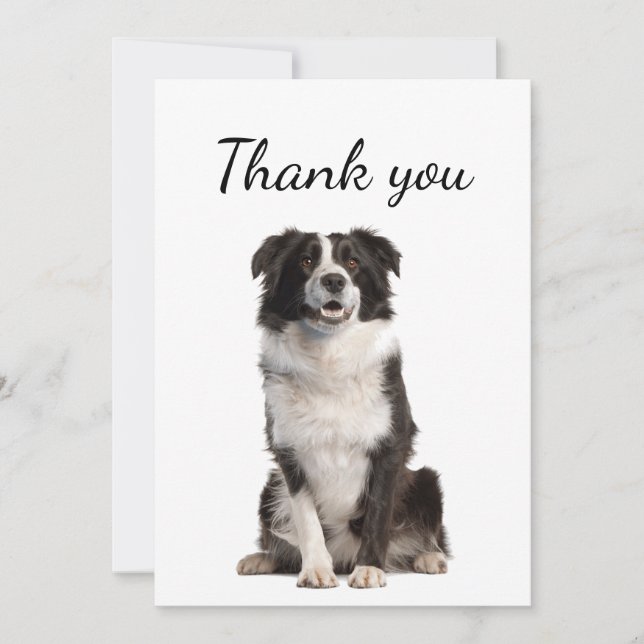 Tarjeta De Agradecimiento Gracias Collie Dog Mascota Animal (Anverso)