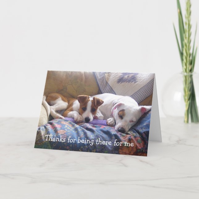 Tarjeta De Agradecimiento Gracias de los perros por estar allí (Anverso)