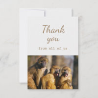 Gracias de todos nosotros Monkeys Animal Fun