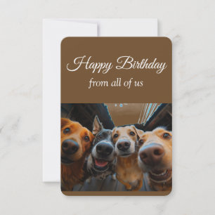 Tarjeta De Agradecimiento Gracias del grupo Perros divertidos Animales de co