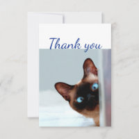 Gracias, divertido y curioso animal de gatito de P
