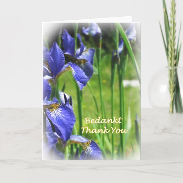 Tarjeta De Agradecimiento Gracias en holandés e inglés (Anverso)