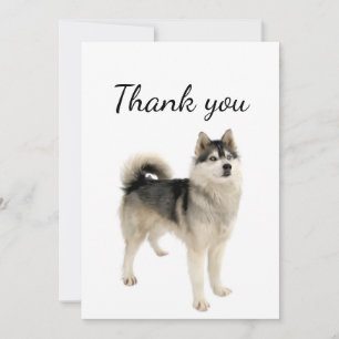 Tarjeta De Agradecimiento Gracias Eskimo Malamute Mascota de Perros 