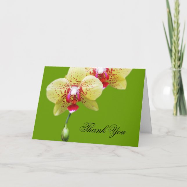 Tarjeta De Agradecimiento gracias, flores de orquídea amarilla (Anverso)