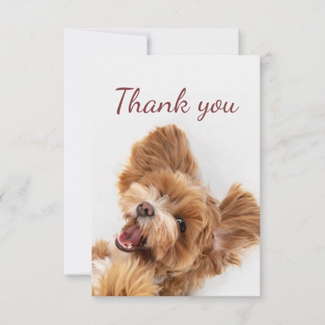 Tarjeta De Agradecimiento Gracias Fun Floofy Happy Puppy Dog (Anverso)