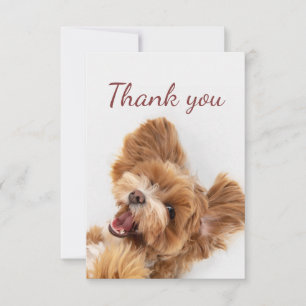 Tarjeta De Agradecimiento Gracias Fun Floofy Happy Puppy Dog