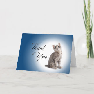 Tarjeta De Agradecimiento Gracias gatito en azul marino