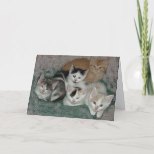 Tarjeta De Agradecimiento Gracias/Gatitos