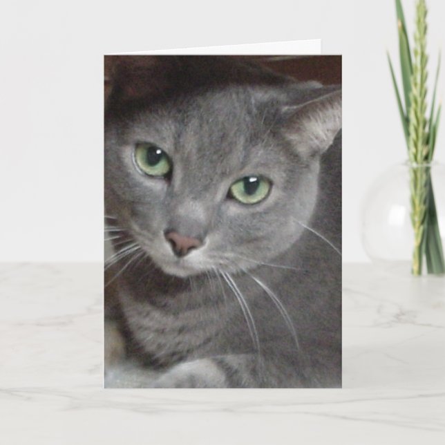 Tarjeta De Agradecimiento Gracias/Gato gris (Anverso)