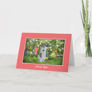 Tarjeta De Agradecimiento Gracias, Gato Ojo Azul Entre Las Flores