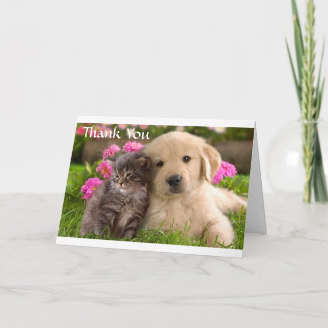 Tarjeta De Agradecimiento Gracias, Golden Retriever Puppy & Kitten Card (Anverso)