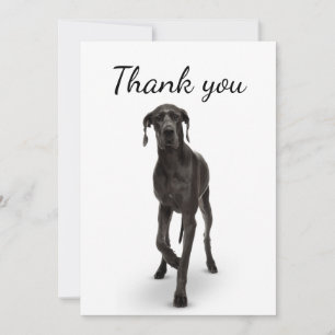 Tarjeta De Agradecimiento Gracias, gran animal Mascota de perros daneses