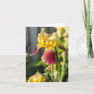 Tarjeta De Agradecimiento Gracias - Heirloom Iris