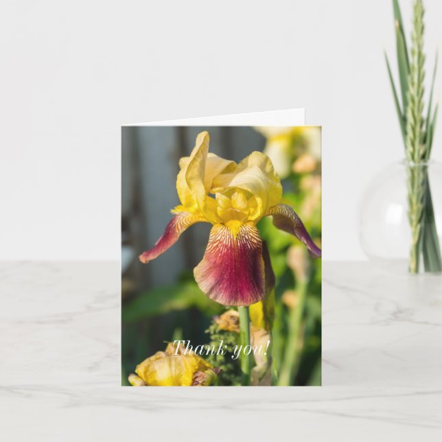 Tarjeta De Agradecimiento Gracias - Heirloom Iris (Anverso)