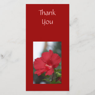 Tarjeta De Agradecimiento Gracias hibisco rojo