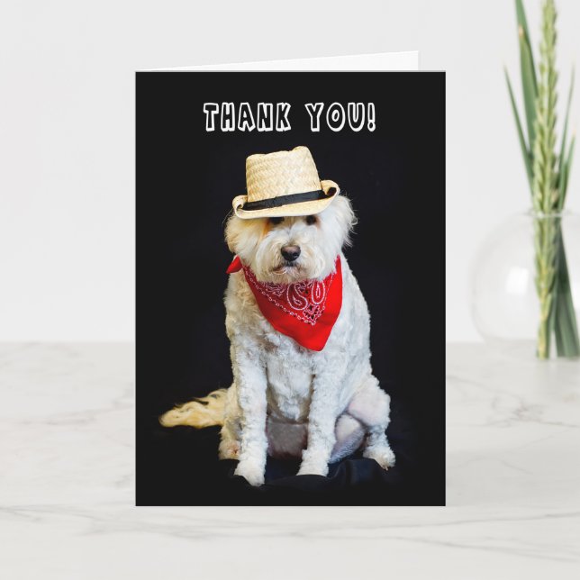 TARJETA DE AGRADECIMIENTO GRACIAS - HUMOR - PERRO/GORRA DE COWBOY Y SCARF (Anverso)