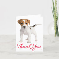 Gracias Jack Russell Terrier Perro Cachorro Blank