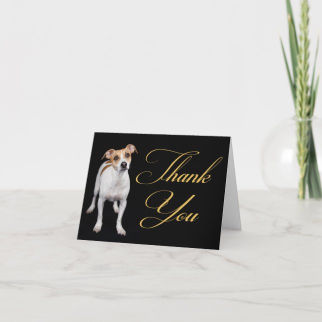 Tarjeta De Agradecimiento Gracias Jack Russell Terrier Puppy Dog Note Card (Anverso)