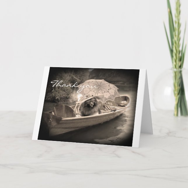 Tarjeta De Agradecimiento Gracias, Keeshond Card (Anverso)