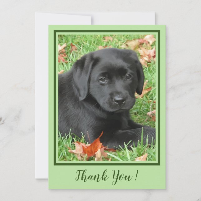 Tarjeta De Agradecimiento Gracias Labrador Negro Puppy - Perro Cutáneo de Ot (Anverso)