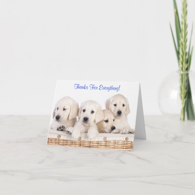 Tarjeta De Agradecimiento Gracias Labrador Recuperador Perros Cachorros (Anverso)