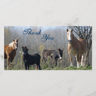 Tarjeta De Agradecimiento Gracias los caballos, potro, y burro Photocards