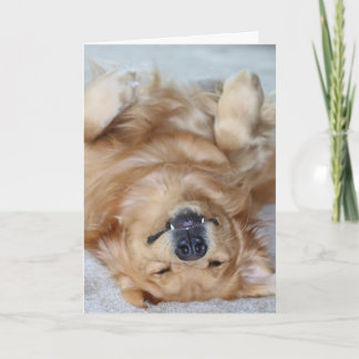 Tarjeta De Agradecimiento Gracias los colmillos